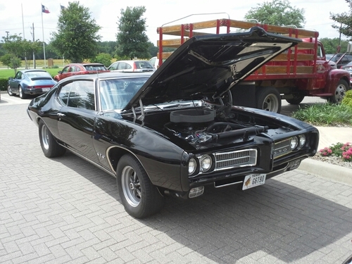 beargfr's profile picture.