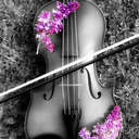 Alicia Aurora Sáënz - @AliciaurorSaenz - Twitter