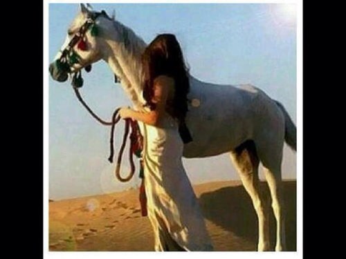 يَ نصيب االغير؟انا وش جابني لگ ☁