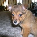 Robert Shultz - @missmolley - Twitter