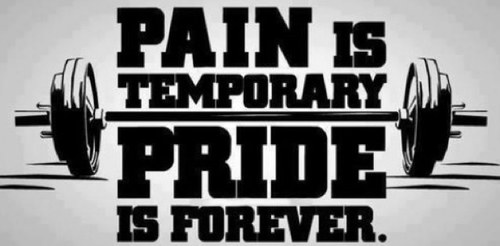 FootballGymRat's profile picture. 