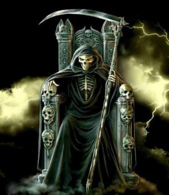 maritolaso's profile picture. VETERINARIO