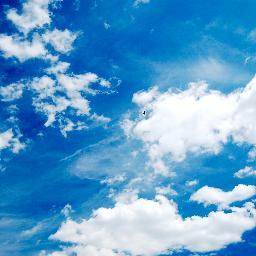 君との思い出が僕の最後の記憶であるように