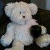 Libby Bear (@libbylibrary) Twitter profile photo