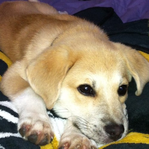 RP_AMartin's profile picture. 