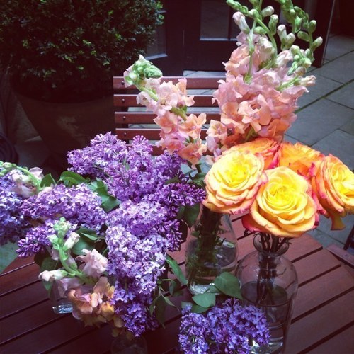 GoodnessShop's profile picture. 