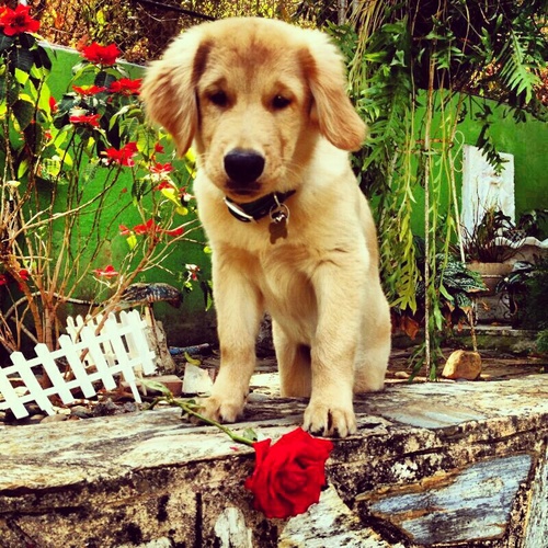 LumaryZuccaro's profile picture. 