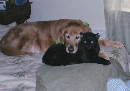 marine_bio's profile picture. 