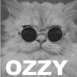 Rock nd'Roll everywhere