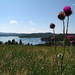 Beautiful trails, beautiful trailers.... coming soon!