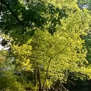 Krissy - @krissy91green - Twitter