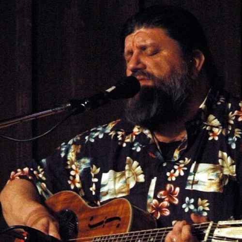 Singer-songwriter, musician, artist, cartoonist, writer