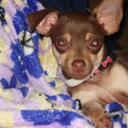 Kaleb Phelps - @Fly_McSwagger - Twitter