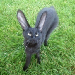 smetrow's profile picture. 