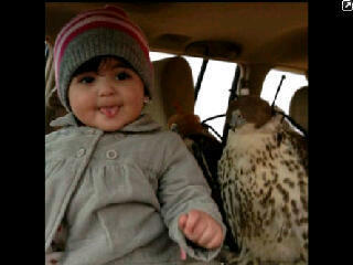 3amer_28's profile picture. 