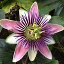 Jennifer Ann James - @james1jen - Twitter