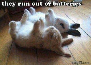 lyricist2013's profile picture. 