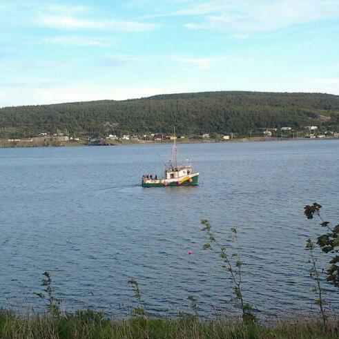 trishslade's profile picture. 