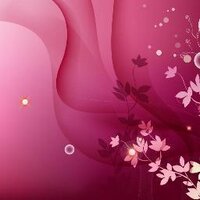 basheer dhman (@basheer301) 's Twitter Profile