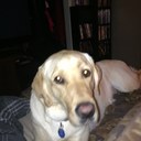 Joseph bourgeois - @28Bucks - Twitter