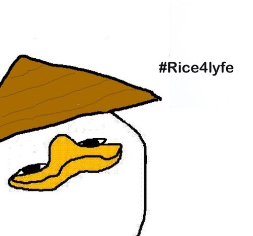 I em de Asian Dolan. #Rice4Lyfe Feggits. No SOs on my profile.