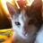 monastelar's profile image