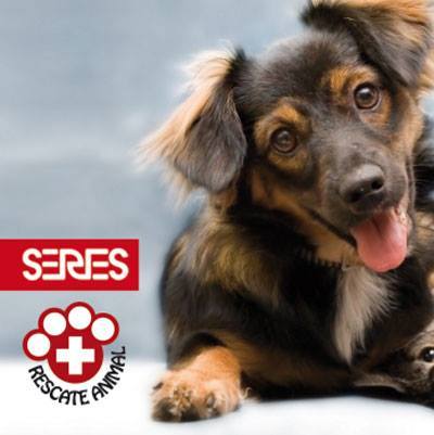 veterinaria frustrada, pero con vocacion de servicio. Amante y protectora de los animales
