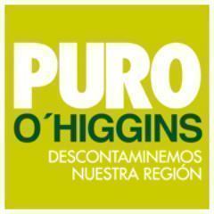 Puro O'Higgins es una iniciativa de Codelco División El Teniente, la Intendencia Regional y las municipalidades de Rancagua, Machalí, Doñihue y Requínoa.