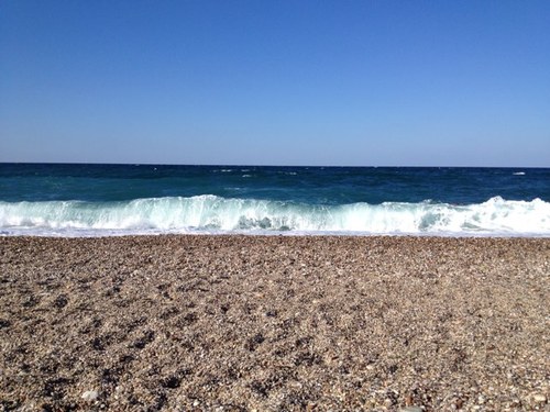 EOztrak's profile picture. 