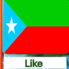 SSherbugti's profile picture. 