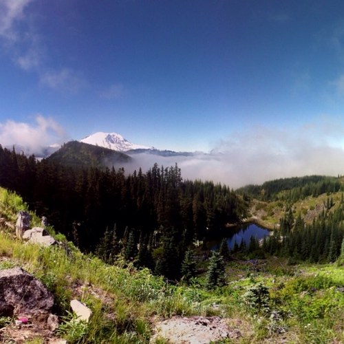 iuslistuhled's profile picture. 