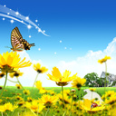 Amy Ulmer - @AmyUlmer1 - Twitter