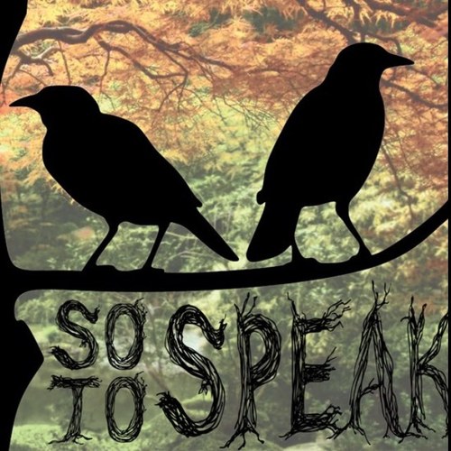 So To Speak is an alternative acoustic rock band from Portland, Or. Take a listen!