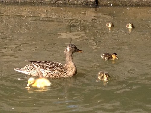 y_0G_i's profile picture. 