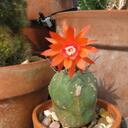 Don Everett - @dmeverett57 - Twitter