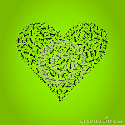 HormigaCultural's profile picture. Programa de Radio