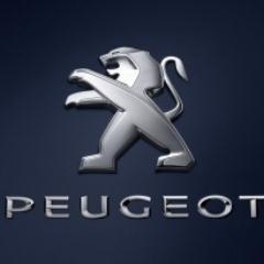 Gerente GCMotor Peugeot