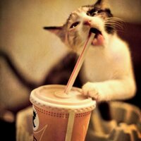 (-_-)  (@wseddu22) 's Twitter Profile