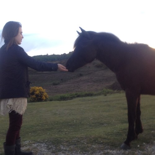 Elisha_Mitzy's profile picture. Hi! Urm, I guess if you follow, I will follow back, haha. Follow my buddy @holliem_b she will follow back:P