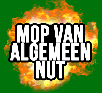 Zelfgebrouwen moppen!