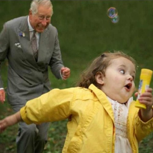 opeltd's profile picture. Its the one and only robert muir