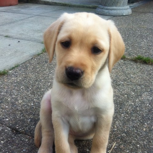 FieldStreamuk's profile picture. Field & Stream UK Fly Fishing - Shooting - Stalking - Country