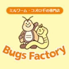 フタホシコオロギ、ヨーロッパコオロギ、ミルワームの通販ならバグズファクトリーへ！虫の事ならお任せください！