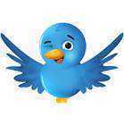 TheOfficialTwitter #TeamFollowBack #RT2Club #Follow Me #Twitter #TeamFollowYou