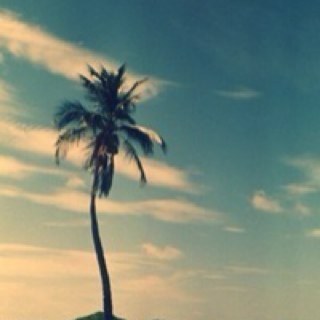 Khabibullin01's profile picture. 