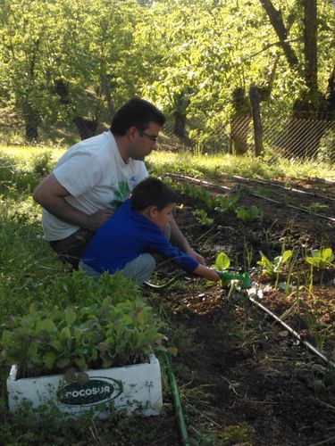 MariliuPM's profile picture. 一款稳定好用的翻墙工具
无限流量，免费试用!➡️ https://t.co/AfGQpKwfEj