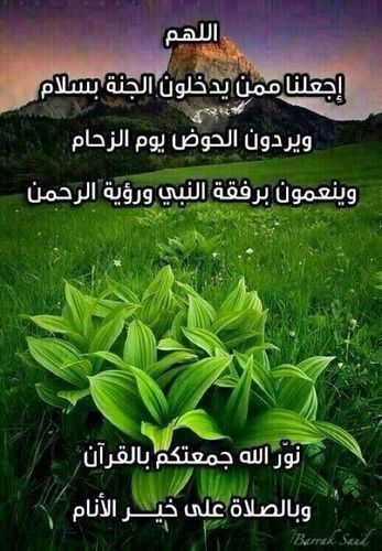 نحن قوم إذا ضاقت بنا الأرض...
إتسعت لنا السماء   

اللهم اخذل من خذل الدين