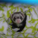 Sandra Turk - @weipoort23 - Twitter