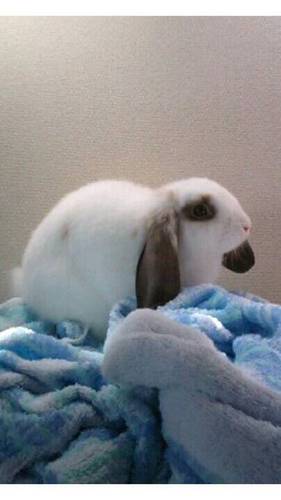 boundaryline1's profile picture. ょろ～(о´∀`о)