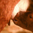 VeauAS's profile image